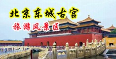 爆操靠逼视频下载中国北京-东城古宫旅游风景区